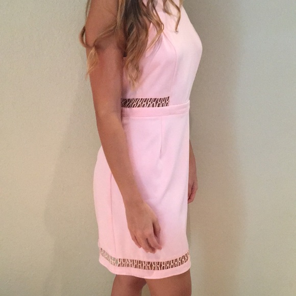 NWT Blush Dress - Picture 3 of 4